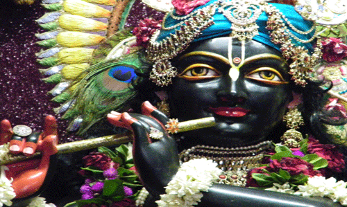 Devoted Tour of Tirupati Balaji