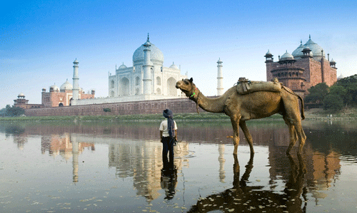 Adore the Beauty of Taj Mahal