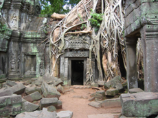 Discover Uniqueness of Angkor